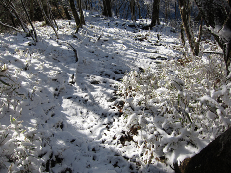 20191129hike (437)